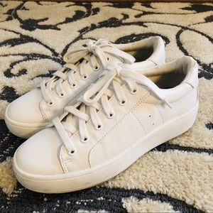 steve madden white sneakers